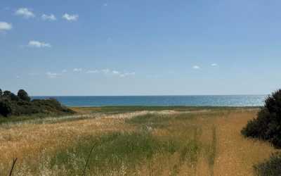 Wycieczka na plażę Skała Afrodyty [35] z Pafos